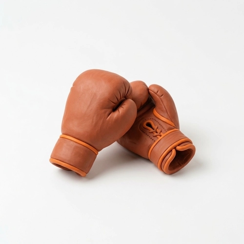 Combat Sports