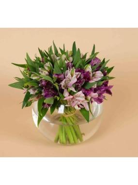 Purple Alstroemeria 