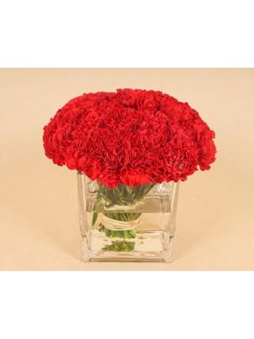 25 Red Carnation square glass vase