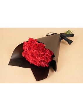 15 Red Carnations Bouquet 