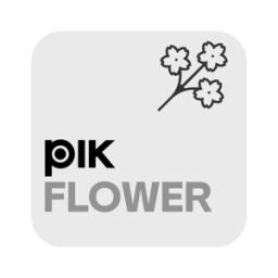 PIK | FLOWERS