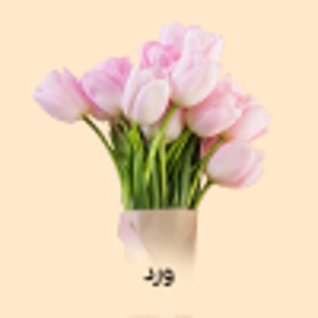 Pik/Sections/28ed48aa-5232-48fe-8917-3279f0e12c8b.webp