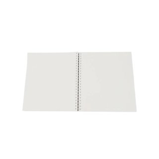 Dinosaur Notebook