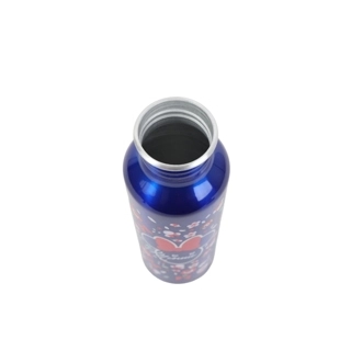 Vegas Minnie Mouse Gardening Water Bottle 800ml