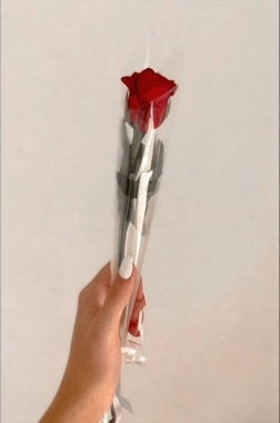 Rose Distributions 2