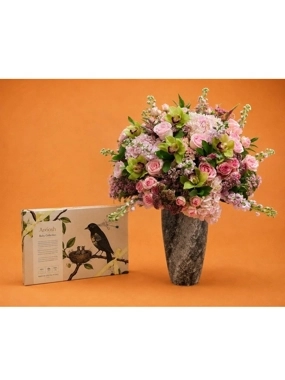 Anoosh Orchid Elegance Gift Set