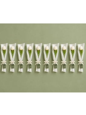 White Tulip Collection - Saudi National Day