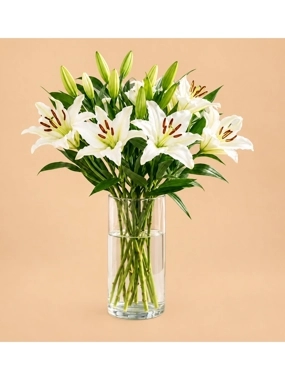 Lily Purity