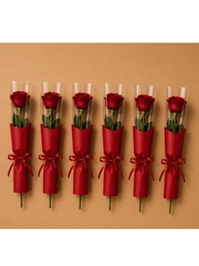 Red Rose Collection with Red Wrapping