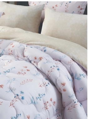 2026 - NOVA - D - 65