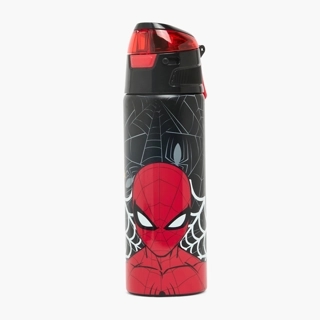 Spider-Man Print Stainless Steel Water Bottle with Spout and Carry Loop