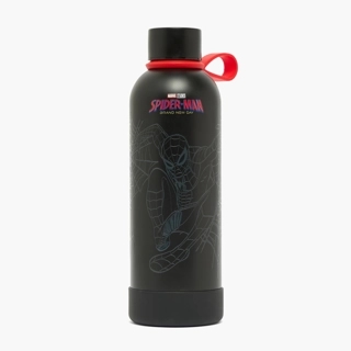 Spider-Man Print Stainless Steel Water Bottle with Wide Mouth and Carry Loop