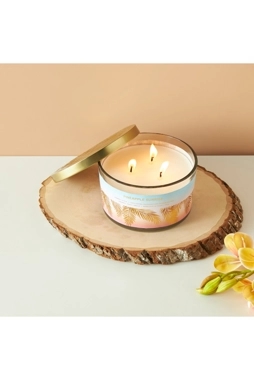 Scent.d Pineapple Sunrise 3-Wick Jar Candle - 16 oz