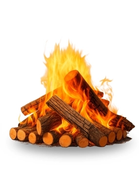 Local firewood from olive and fruit trees, 5 kg, national