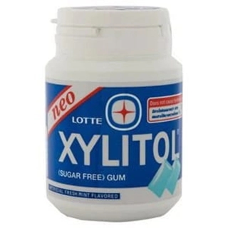 Lotte Xylitol Fresh Mint 58 G