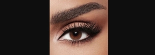 DIVA COLOR CONTACT LENS - WOODY