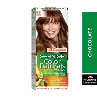 Garnier Nat. H. Color-6.34 Cho