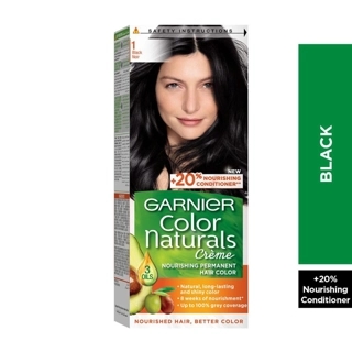 Garnier Nat. H. Color-1 Black