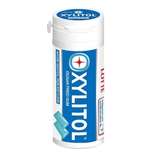 Lotte Xylitol Fresh Mint 29G
