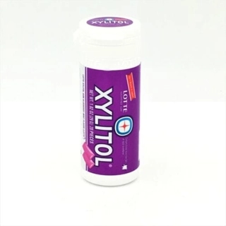 Lotte Xylitol Blueberry Mint 29 G