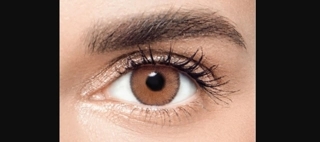 ANESTHESIA DAILY ONCE LENS - RUSSET