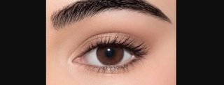 LENSME COLOR CONTACT LENS - DATE