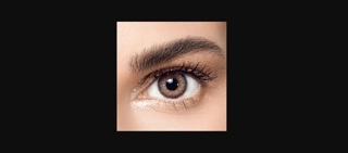 ANESTHESIA DAILY ONCE LENS - BLEND GRAY