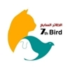 Seven bird