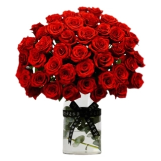 fazat almithaq YAF 113