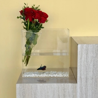 Fish Box