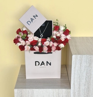Dan silver necklace