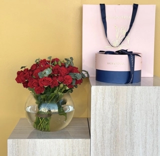Chocolate Hanoverin with a vase