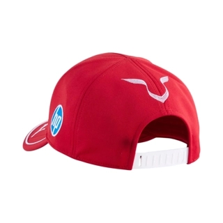 SF RP HAMILTON BB CAP DARK CHERRY
