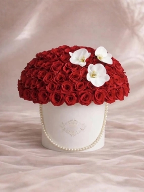 Box Velvet Red