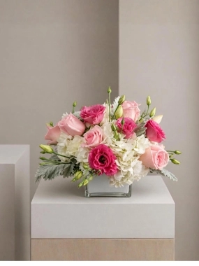 The haven of elegance