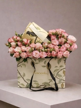 Anoosh Pink