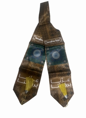 Our Pride Is in Our Vision Sash
