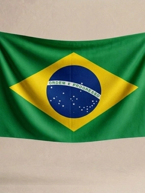 Brazil Flag