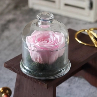 Preserved rose pink d