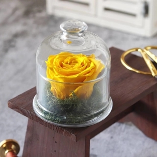 Preserved rose yellow d