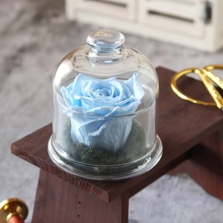 Preserved rose Skyblue D