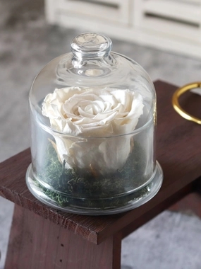 Preserved Rose White D
