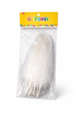 Feathers White KY22-25