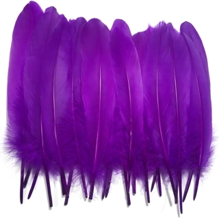 Feathers Colored KY22-24