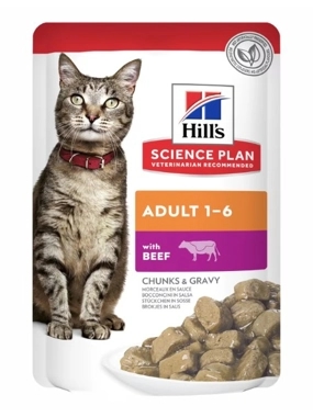 Hills Adult 1-6 Beef Chunks&Gravy Wet Food 85g