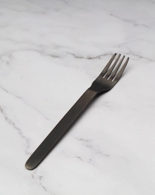 Titanium fork