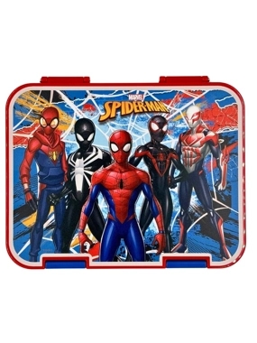 Disney lunch box