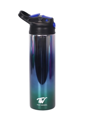 Reflective Stainless Steel Bottle Blue 530ml