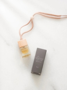 Hajs - Colud mini diffuser