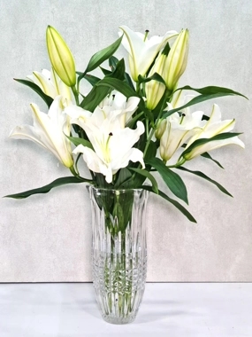 Crystal Vase 200